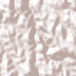 San Martín Terrain Map