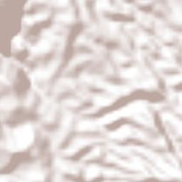 Ciudad Barrios Terrain Map