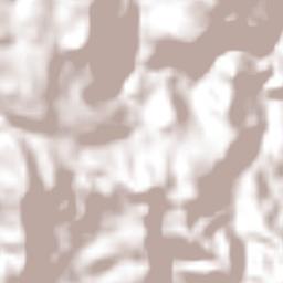 Cacaopera Terrain Map