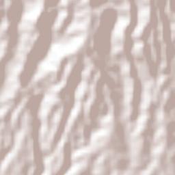 Guaymango Terrain Map