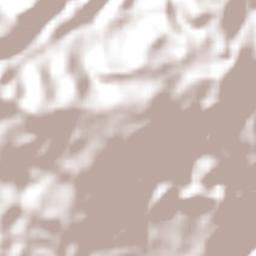 San Antonio de Flores Terrain Map