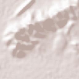 Al Wade'a Terrain Map