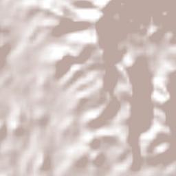 San Francisco Terrain Map