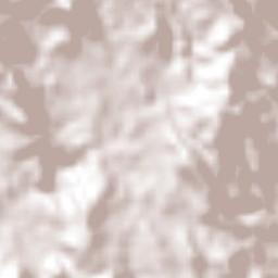 Sociedad Terrain Map