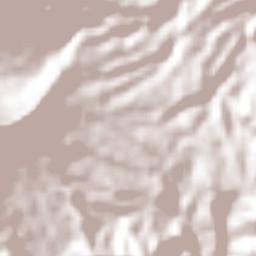 Santo Tomás Terrain Map