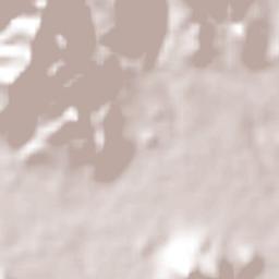 Chapeltique Terrain Map