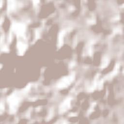 Santa Rosa de Lima Terrain Map