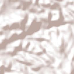 San Antonio de Flores Terrain Map