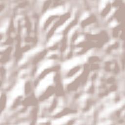 Ciudad Antigua Terrain Map