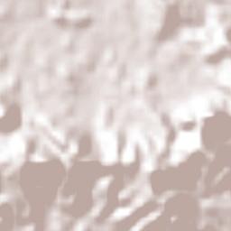 Goascorán Terrain Map