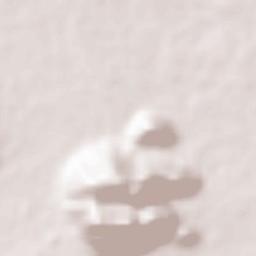 Narasingapuram Terrain Map