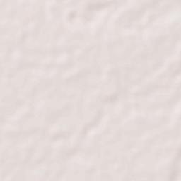 Palestina Terrain Map