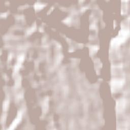 Olocuilta Terrain Map