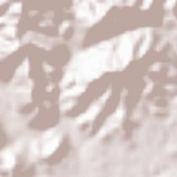 Amphoe Suan Phueng Terrain Map