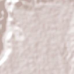 Santiago Nonualco Terrain Map