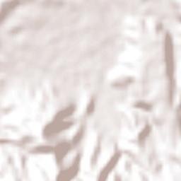 Nueva Guadalupe Terrain Map