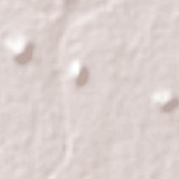 El Tular Terrain Map