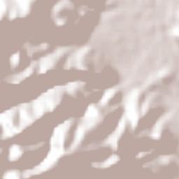 Orocuina Terrain Map