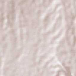 Santa Elena Terrain Map