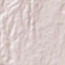 San Rafael Oriente Terrain Map