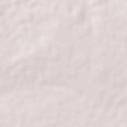 Kiang Central Terrain Map