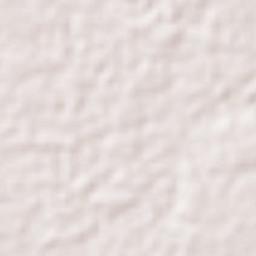 San Antonio Terrain Map