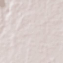 Concepción Batres Terrain Map