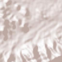 Al Qabbaytah Terrain Map