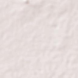 Mueang Chonburi District Terrain Map