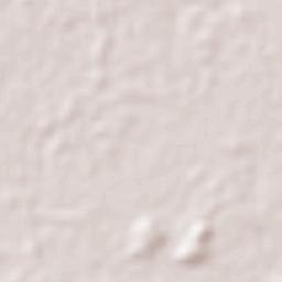 Jiquilisco Terrain Map