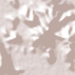 San José de Las Conchas Terrain Map