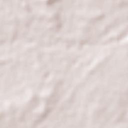 Ciudad Choluteca Terrain Map