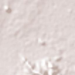 El Puente Terrain Map