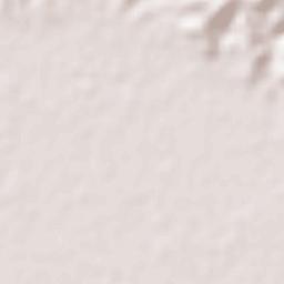 Polangui Terrain Map