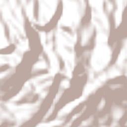 Jucuarán Terrain Map