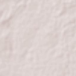 Choluteca Terrain Map