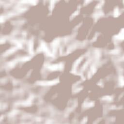 Cinco Pinos Terrain Map