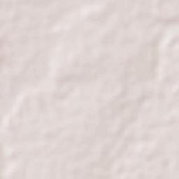 Foni Brefet Terrain Map