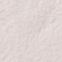 Foni Kansala Terrain Map