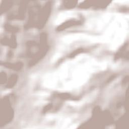 La Concordia Terrain Map