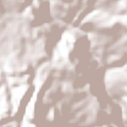 Las Praderas Terrain Map