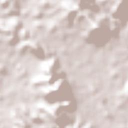 El Triunfo Terrain Map