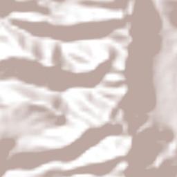 Jinotega Terrain Map