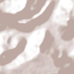 La Trinidad Terrain Map