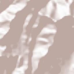 Southern Tigray Zone Terrain Map