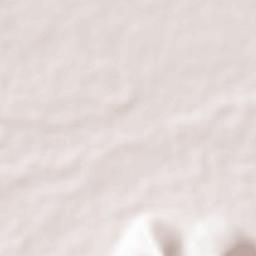 Pallikondai Terrain Map