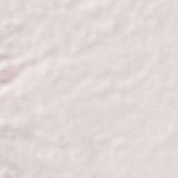 Tiguisan Terrain Map