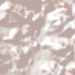 El Jicaral Terrain Map