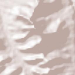 Wag Hemra Zone Terrain Map