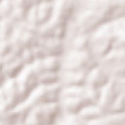 Sanivarsante Terrain Map